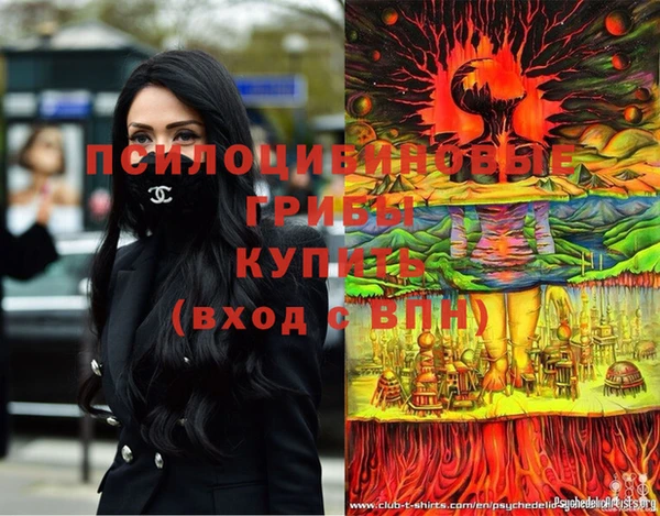 PSILOCYBIN Алексеевка
