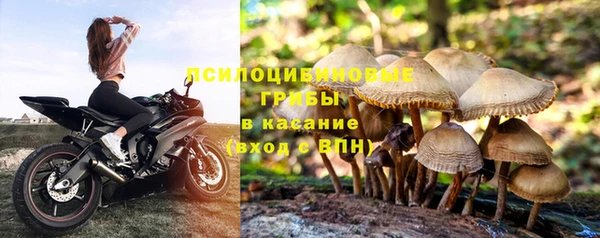 гидропоника Абдулино