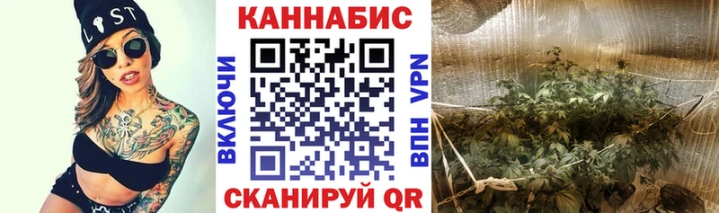 Каннабис White Widow  Кулебаки 
